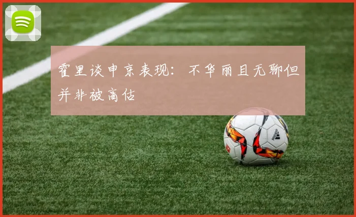 霍里谈申京表现：不华丽且无聊但并非被高估